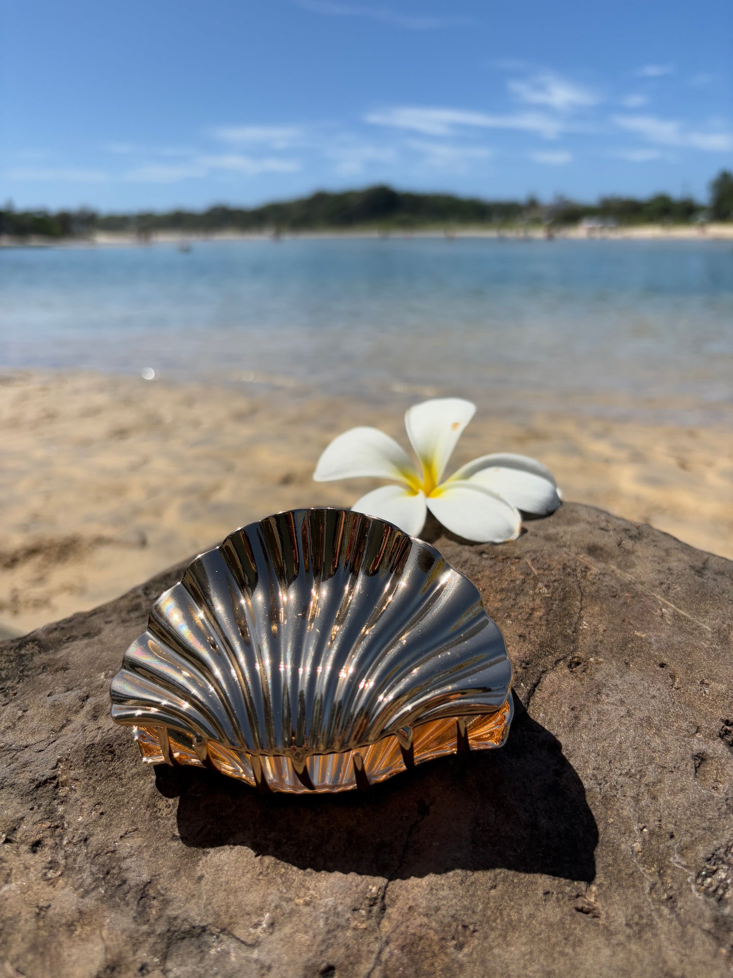 Shell Clip Large