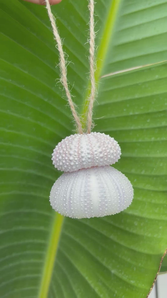 Sea urchin ornament